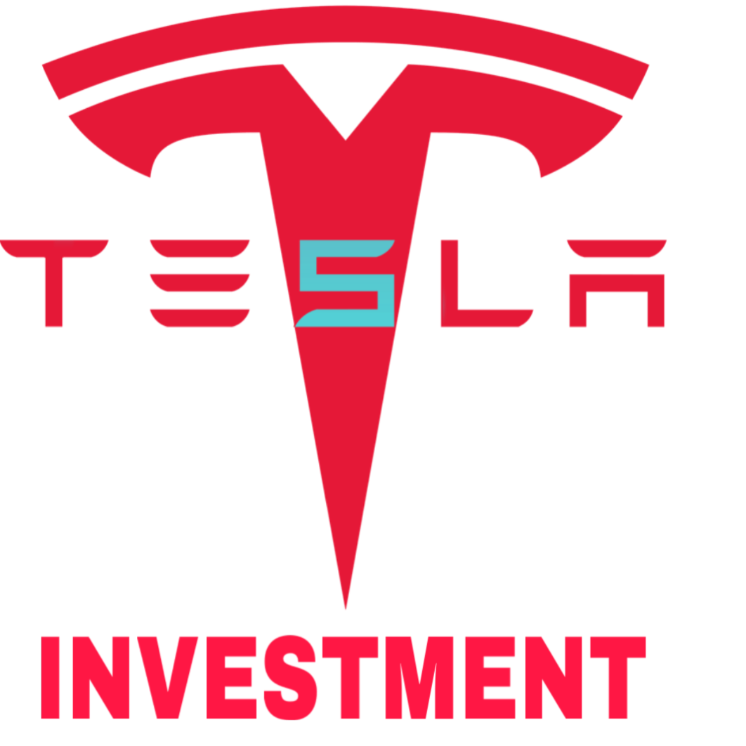 Tesla X Investment